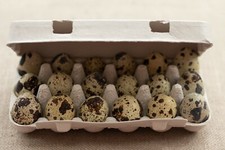 Henpac Quail 18-Egg Egg Boxes