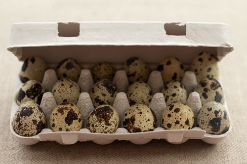 Henpac quail egg boxes - henpac,