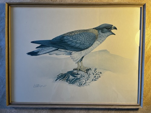 Retro 1970 print a - 1970’s,