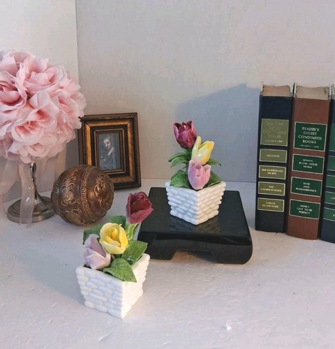 Vtg radnor bone - vtg,