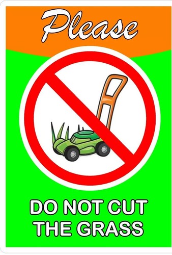 Please not cut the - please,