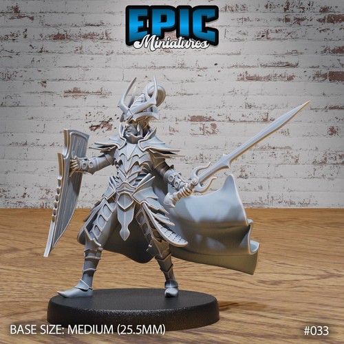 Dark elf paladin dungeons - elf,