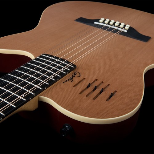 Godin a12 string - a12,