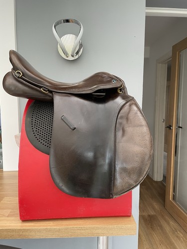 Gfs saddle in havana - gfs,