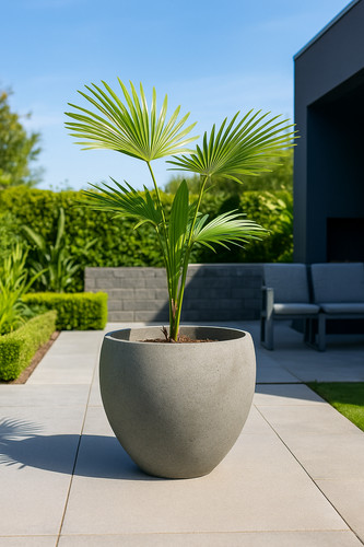 40cm rustic egg planter - 40cm,