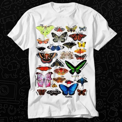 Butterfly name list - butterfly, papillon