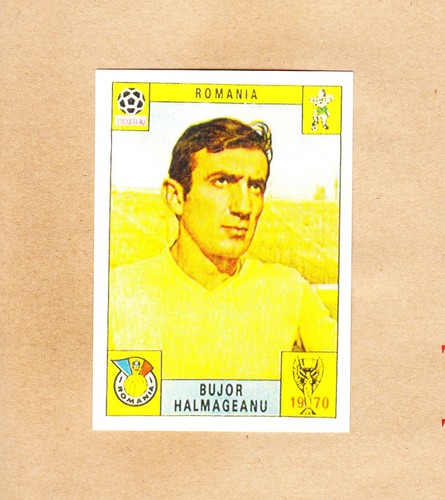 Panini fifa world cup - fifa,