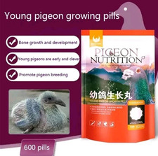 Racing Pigeons  Everything a Young Pigeon Need Power Virus Bones Feather Muscle 