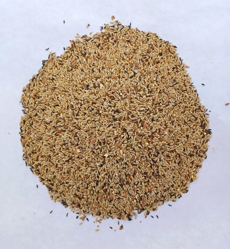 Canary special mix 20kg - special,
