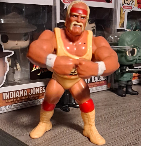 Hulk hogan wrestling action - hulk,