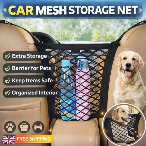 Pet dog car safety - car, isolation