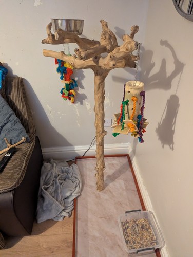 Java tree parrot stand - parrot, only