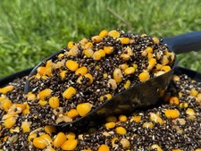 Prepared Oily Hemp & Maize -