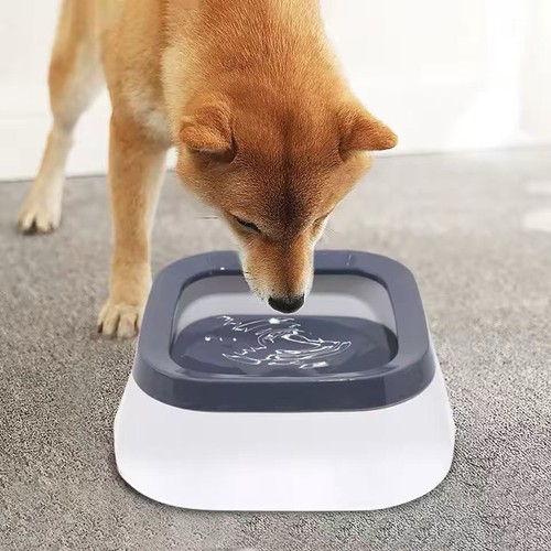 Floating non spill dog - dog, water