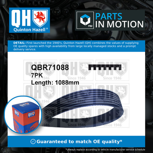 Rib multi drive belt fits - multi,