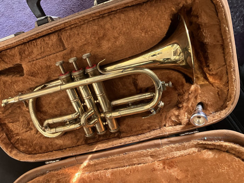 Cornet student soprano - student,