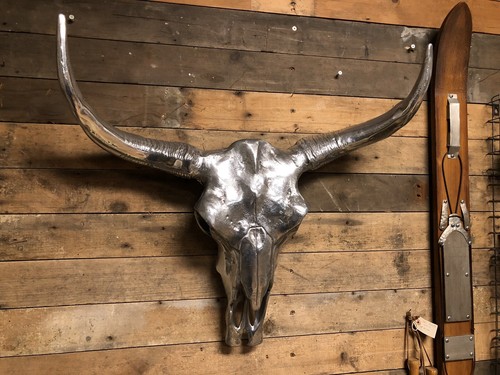 Long horn skull polished - long,