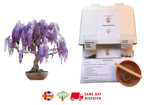 Grow your own - your,