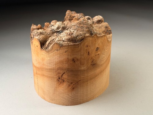 Live edge burr elm resin - live,