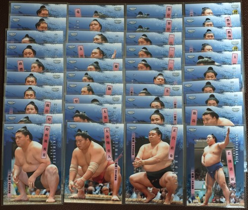 2026 bbm sumo trading - 2026,