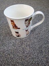 Cat Mug by The Leonardo Collection New In Box Bone China Cup Mug Cat Design