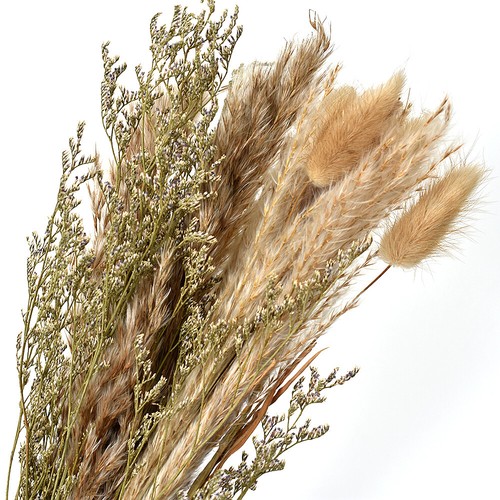 15pcs dried flower bunch - dried,