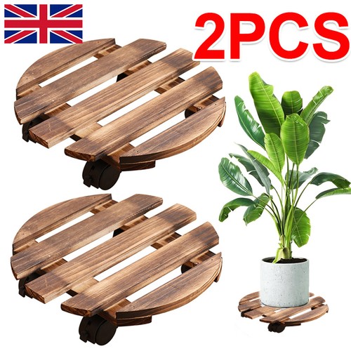 Pack wood plant - plant, caddy
