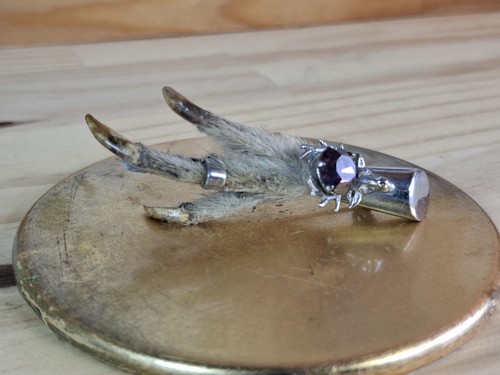 Vintage scottish grouse foot - vintage,