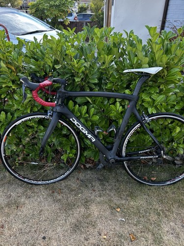 Pinerello dogma carbon road - pinerello,