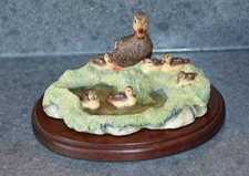 Border Fine Arts Mallard duck