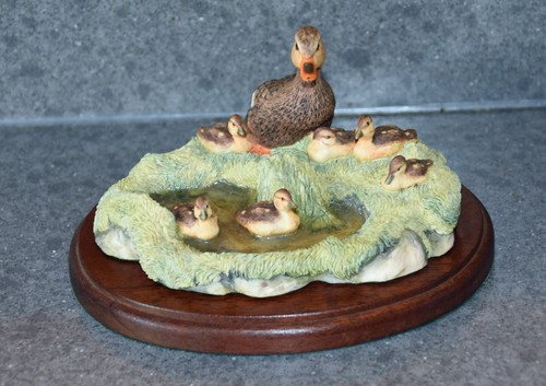 Border fine arts mallard duck - arts,
