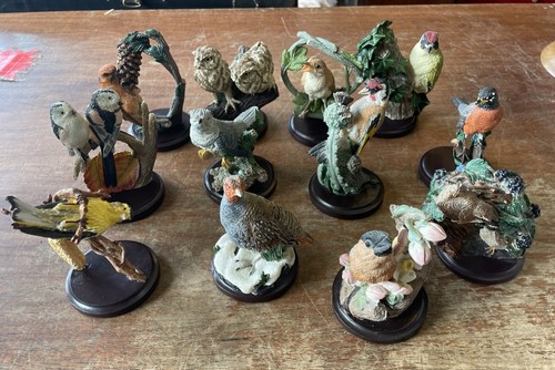 Set the country bird - “the,