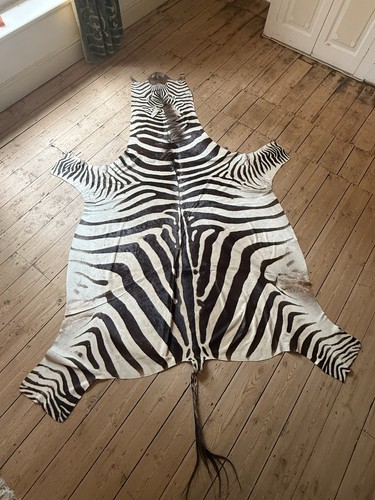 Very large zebra skin rug - very,