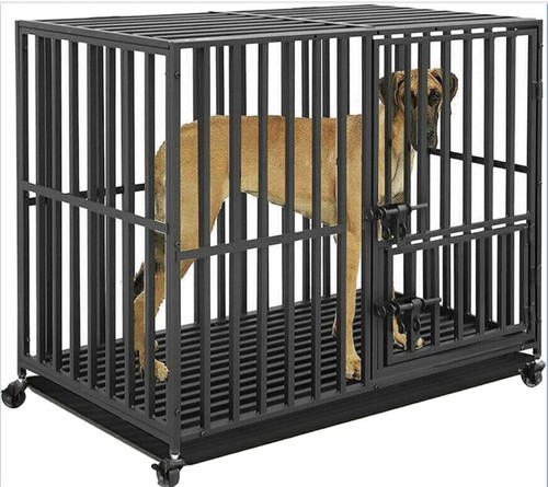 Bingopaw heavy duty dog - duty,