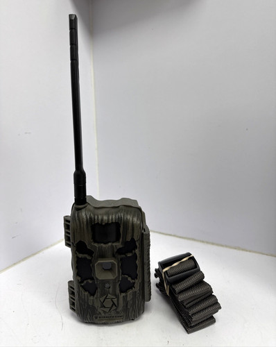 Stealth trail camera - trail,