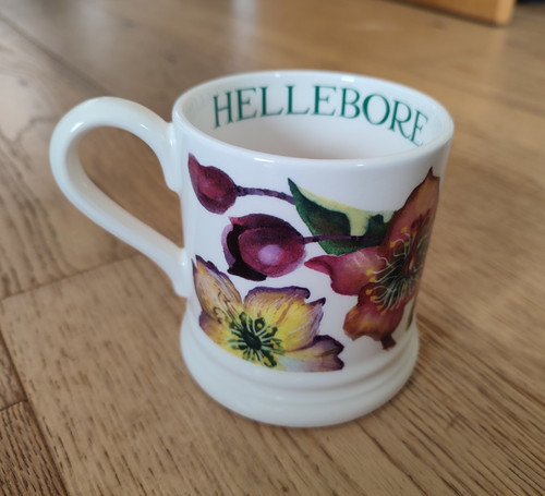 New emma bridgewater - bridgewater, pint