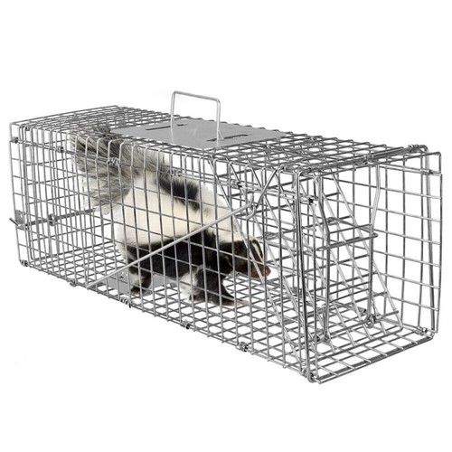 60cm extra large - large, animal