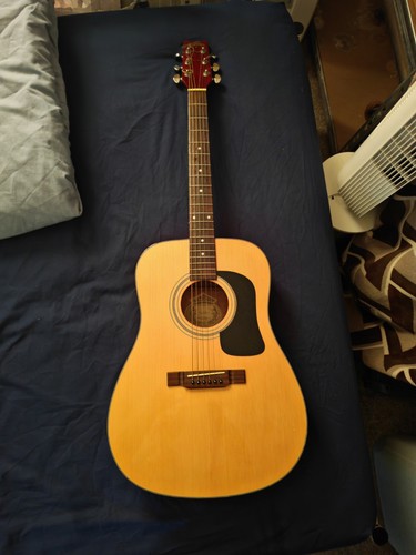 Washburn d10 natural - washburn, n