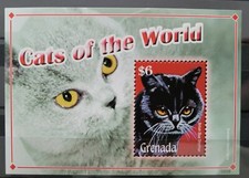 Grenada 2008 / Cats of the