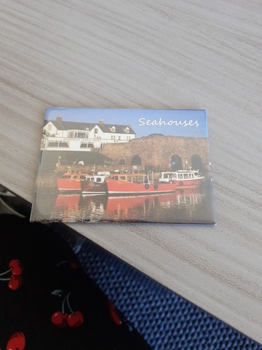 Sea houses fridge magnet - fridge,