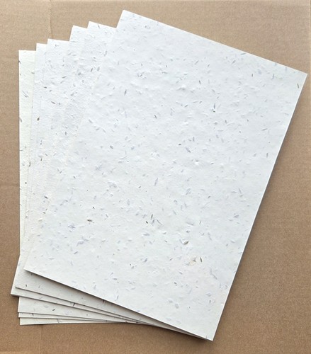 X25 seed paper - a4, plantable