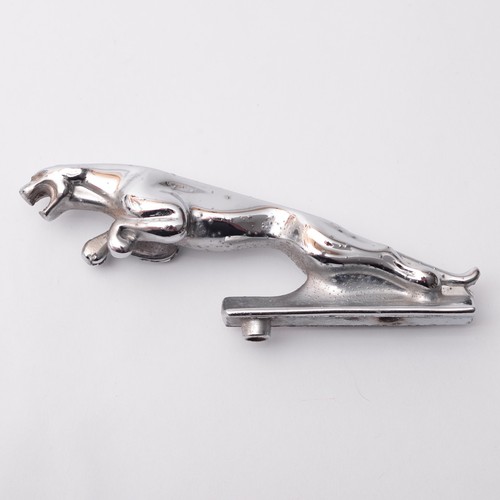 Jaguar leaper leaping - leaping, cat