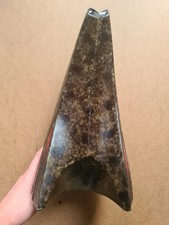 Govinder Nazran “Nitty