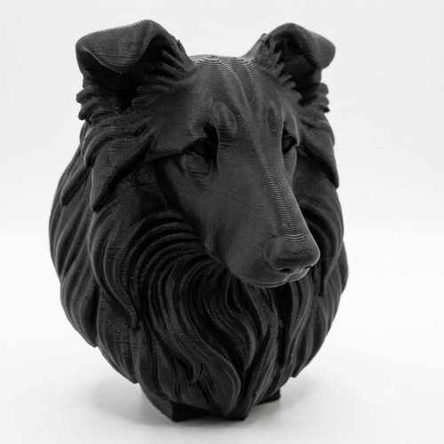 Rough collie dog bust - rough,