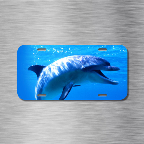 New dolphin flipper - flipper, sea