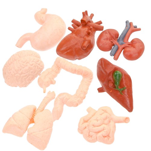 Pcs kids learning brain - 8,