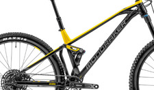 Frame Pivot Bearing Kit |