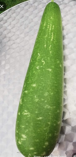 Big bottle gourd - ,