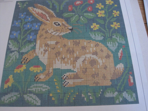 Ehrman rabbit candace - ehrman,