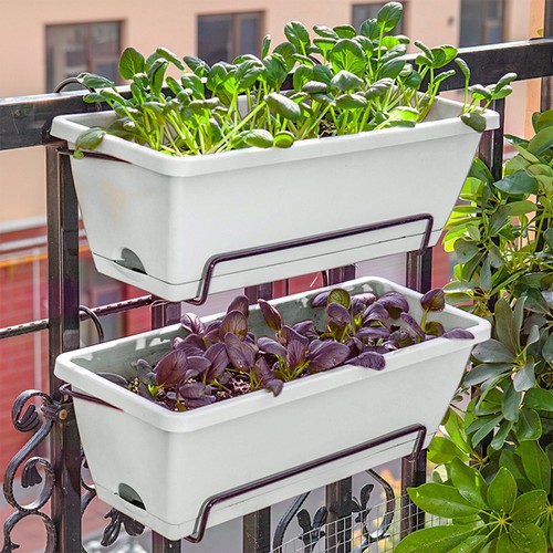 Set plastic trough plant - plastic,